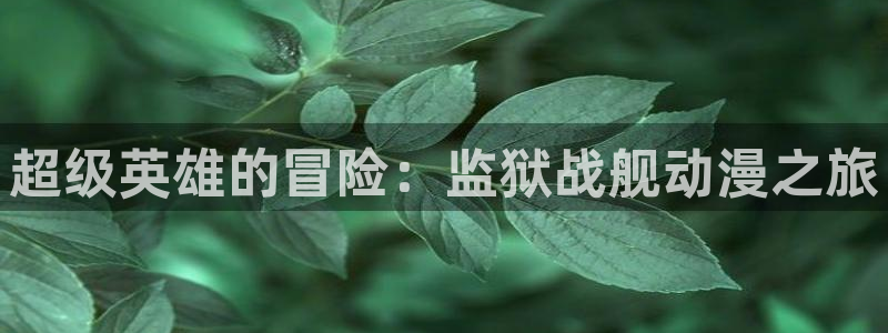 omofun动漫官网入口